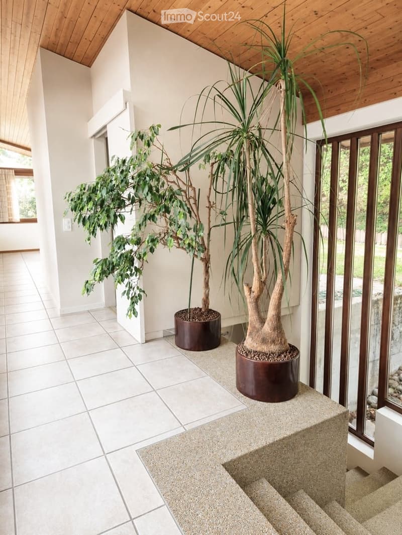 Bright hallway with white tiled flooring, wooden ceiling, and large potted plants on either side, leading to a staircase.