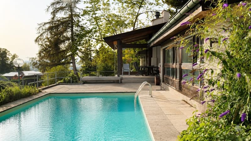 Modern house with a swimming pool, outdoor seating area, and lush greenery.