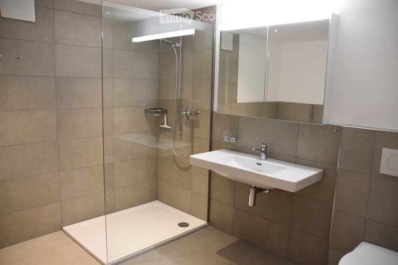 Modern bathroom with a glass-enclosed shower, a white sink with a modern faucet, and a large mirror above the sink.