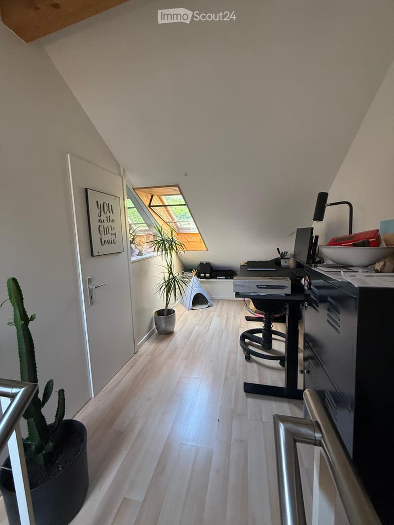 A modern, well-lit room with wooden flooring, a desk setup, a potted cactus, and a small plant near a skylight window.