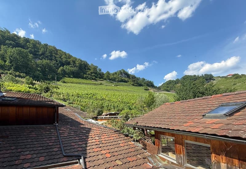 Roof view of a wooden house with a tiled roof, surrounded by green fields and a mountainous landscape under a clear blue sky.