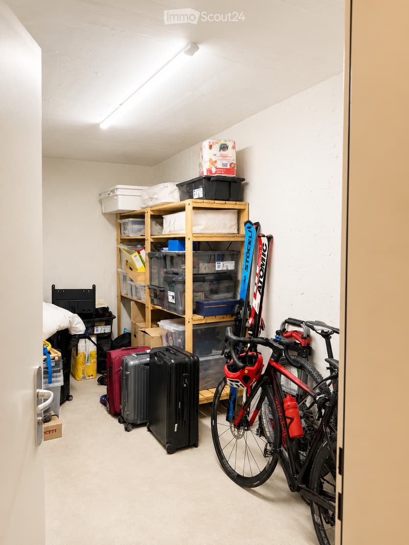 Storage room with shelves holding various items, including storage bins, a ski, and a bicycle. Luggage and a computer monitor are also visible.