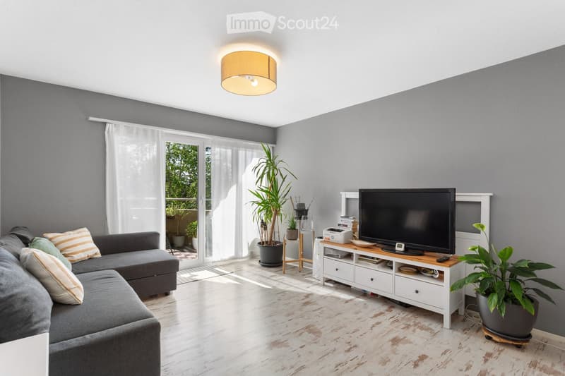 Modern living room with grey walls, white ceiling, large window with white curtains, grey sectional sofa, wooden TV stand, potted plants, and a hanging lamp.