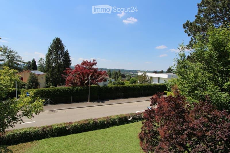 A well-maintained garden area with neatly trimmed hedges, a variety of trees, and a clear view of the surrounding neighborhood and distant hills.