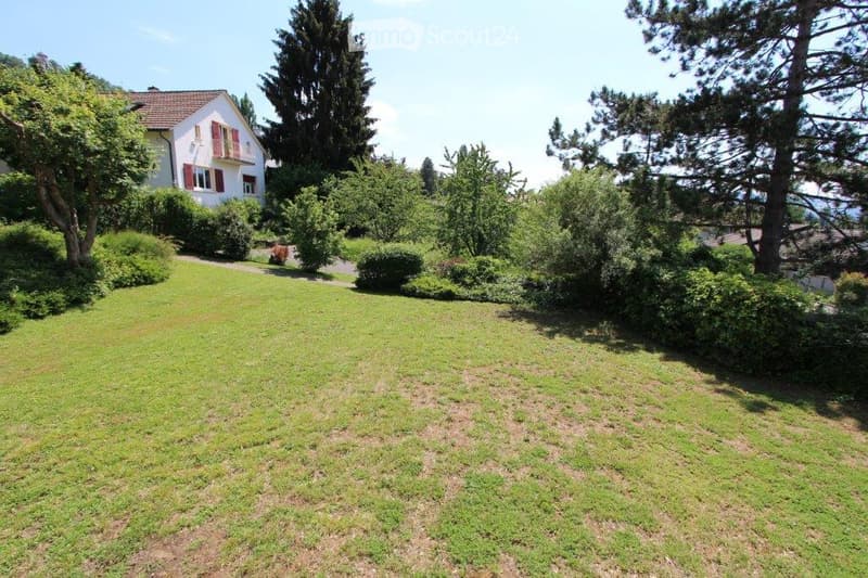 A well-maintained garden with a lawn, trees, and a house with red shutters in the background.