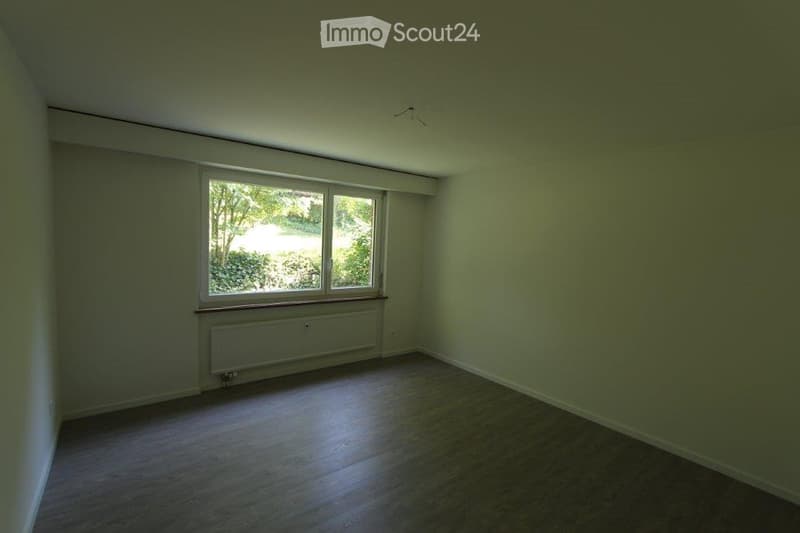 Empty room with wooden flooring, light green walls, and a large window with a view of greenery outside. A radiator is visible below the window.