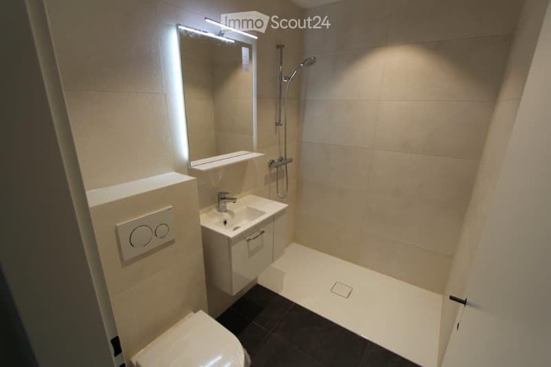 Modern bathroom with a toilet, sink, mirror, and shower. Light-colored tiles and sleek fixtures.