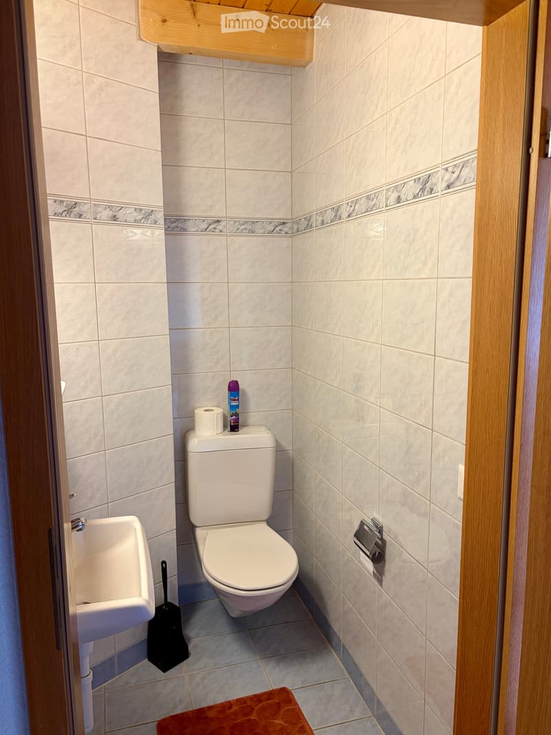 Small bathroom with white tiled walls, a toilet, urinal, toilet paper, cleaning spray, toilet brush, and a red bathroom rug on the floor.