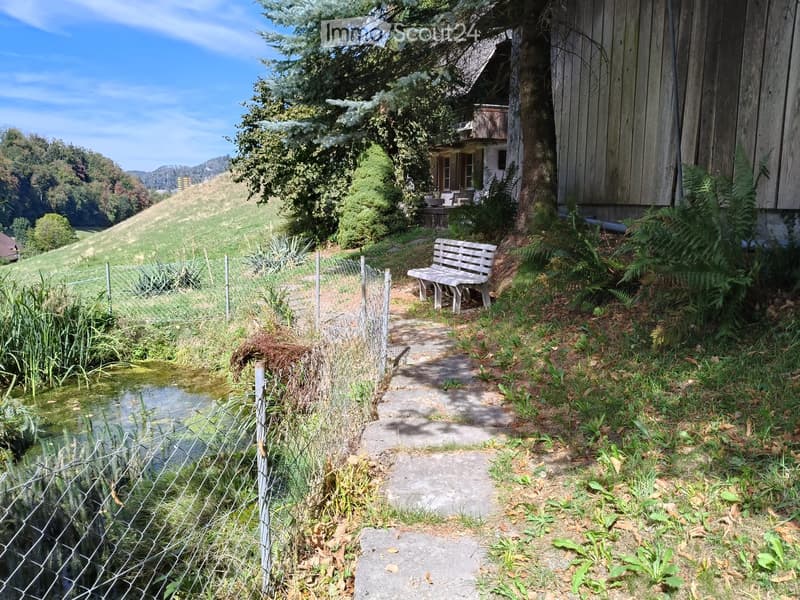 A serene garden path leads to a wooden bench near a small stream, surrounded by lush greenery and a wooden house in the background.