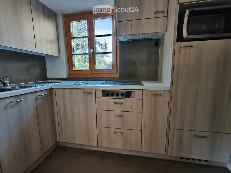 Modern kitchen with light wood cabinets, stainless steel appliances, and a large window offering a view of greenery.