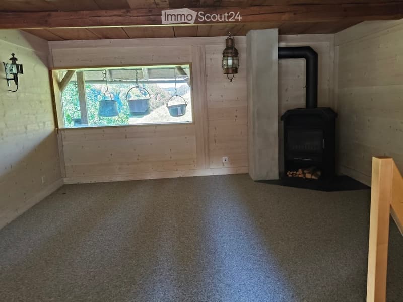 Empty room with wooden walls, carpeted floor, and a wood-burning stove. There is a large window with hanging pots and two wall-mounted lanterns.