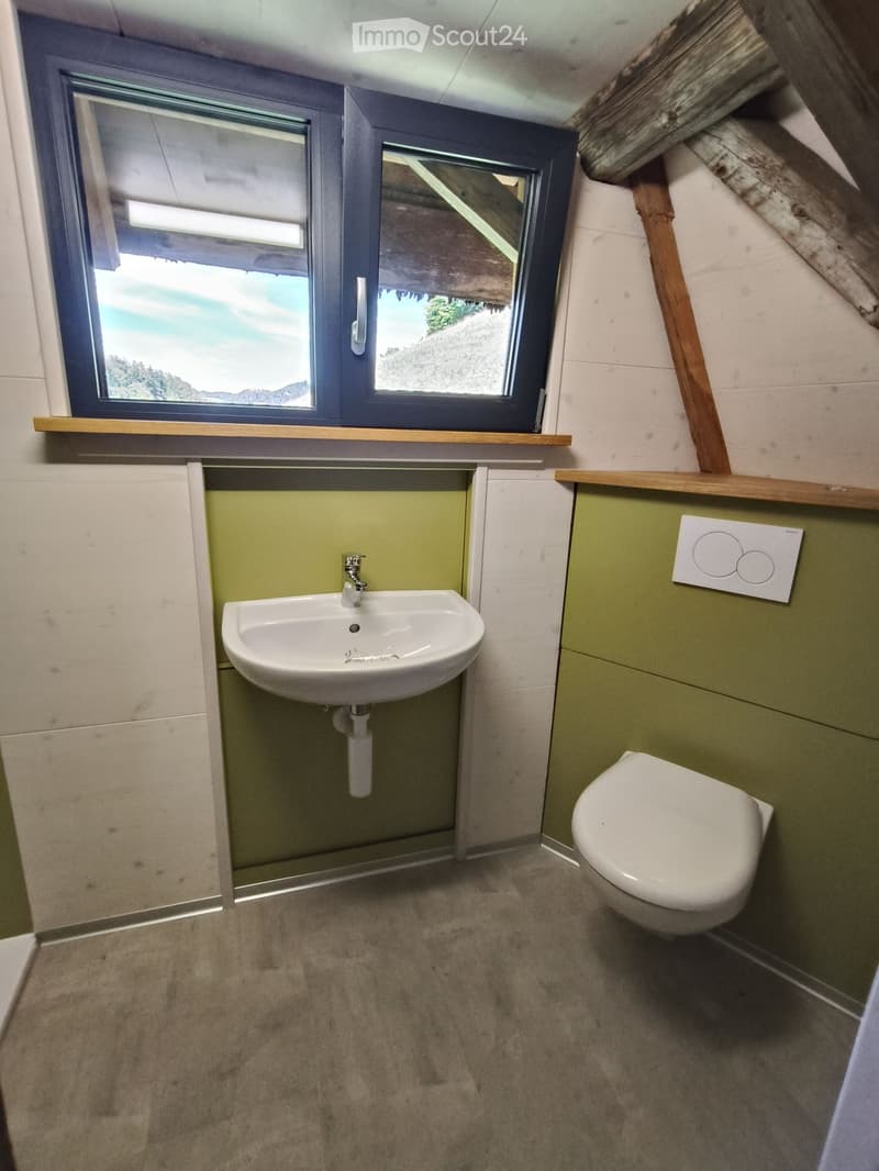 Modern bathroom with a white sink, chrome faucet, and toilet. Green tiled walls, wooden window sill, and large window offering a view.