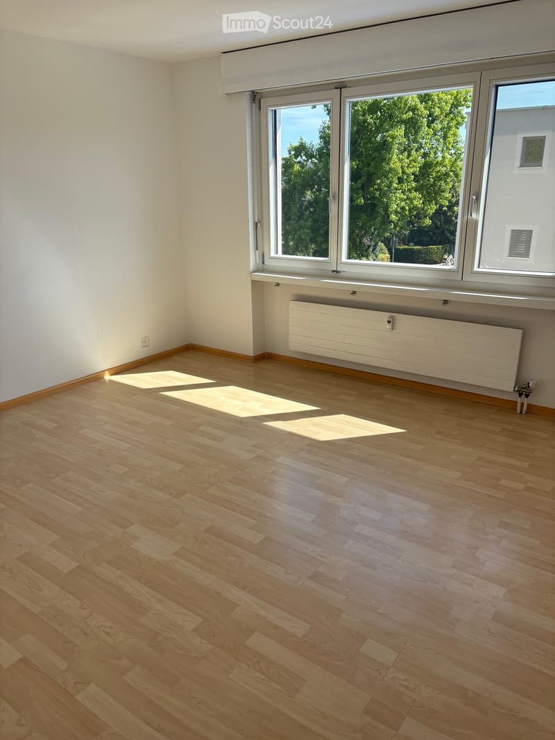 Empty room with light wooden flooring, white walls, large windows with blinds, and a radiator under the windows.