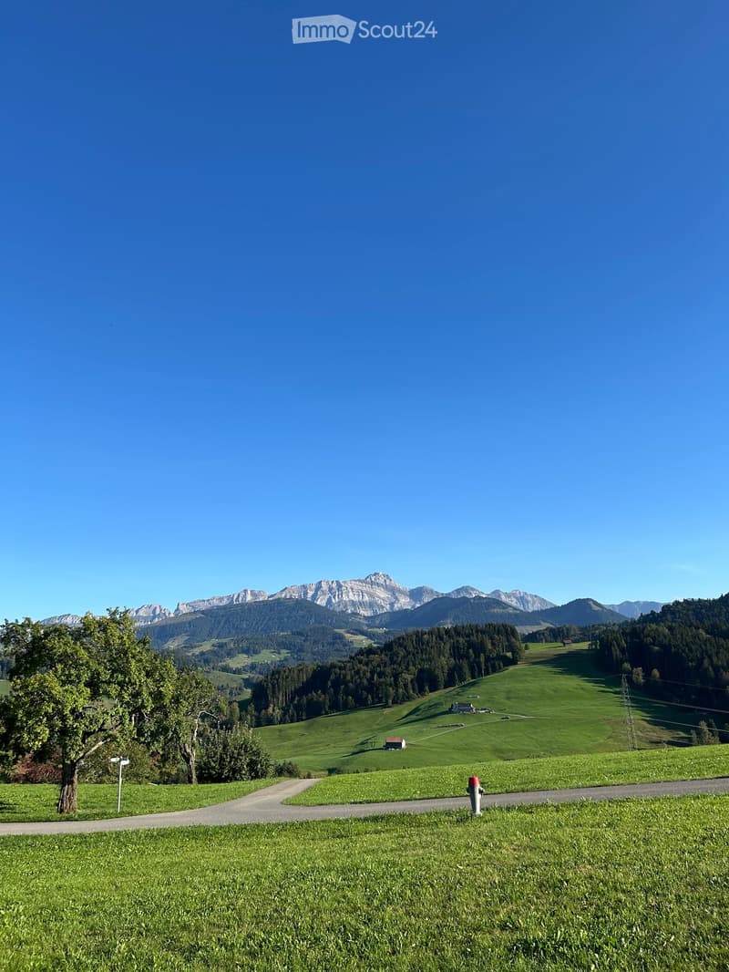 A serene, green landscape with rolling hills, scattered trees, and distant mountain peaks under a clear blue sky. A narrow road winds through the valley, with a small structure visible in the distance.