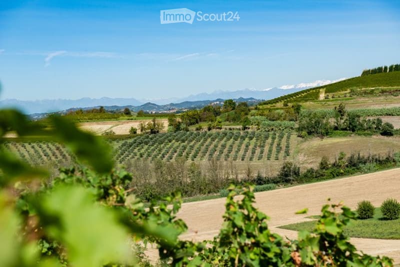 A panoramic view of a vineyard and agricultural fields with rows of grapevines, surrounded by rolling hills and distant mountains under a clear blue sky.