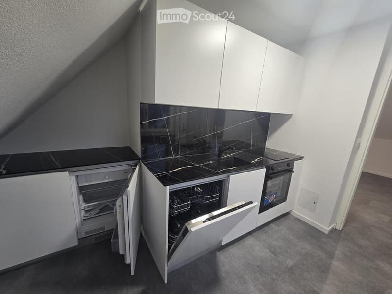 Modern kitchen with white cabinets, black countertops, and stainless steel appliances including a refrigerator, dishwasher, and oven. The space features a sleek, contemporary design with a black backsplash and ample storage.