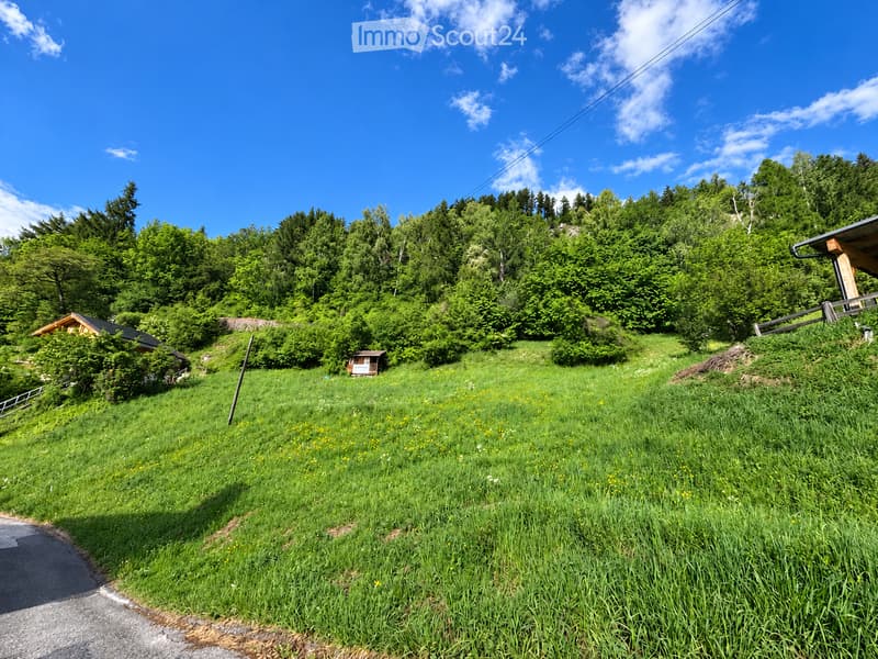 Lush green meadow with wildflowers, surrounded by dense forest and small wooden structures, under a clear blue sky.