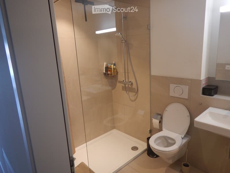 Modern bathroom with a glass-enclosed shower, toilet, sink, and a small shelf holding toiletries.