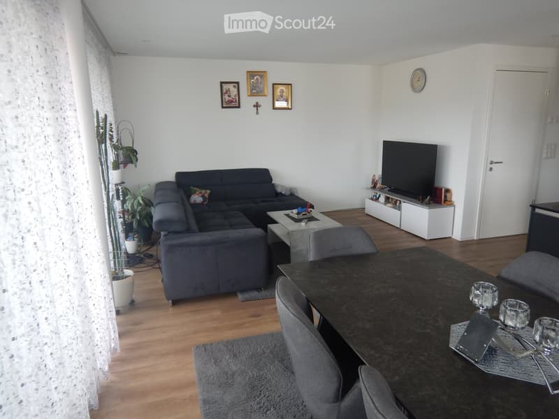 Living room with grey sectional sofa, coffee table, dining table with chairs, TV, and decorative plants.