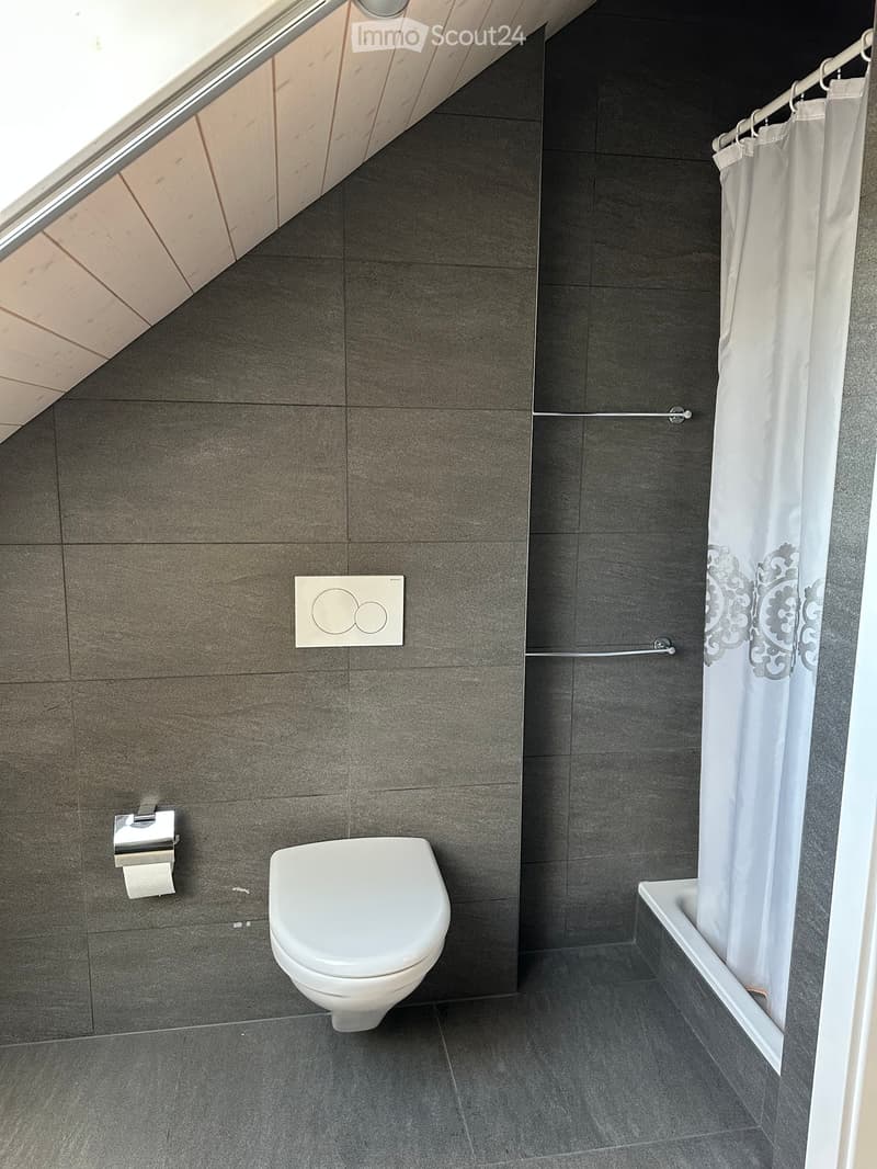 Modern bathroom with dark grey tiles, white toilet, bathtub, and shower curtain. Features a toilet paper holder and a light switch on the wall.