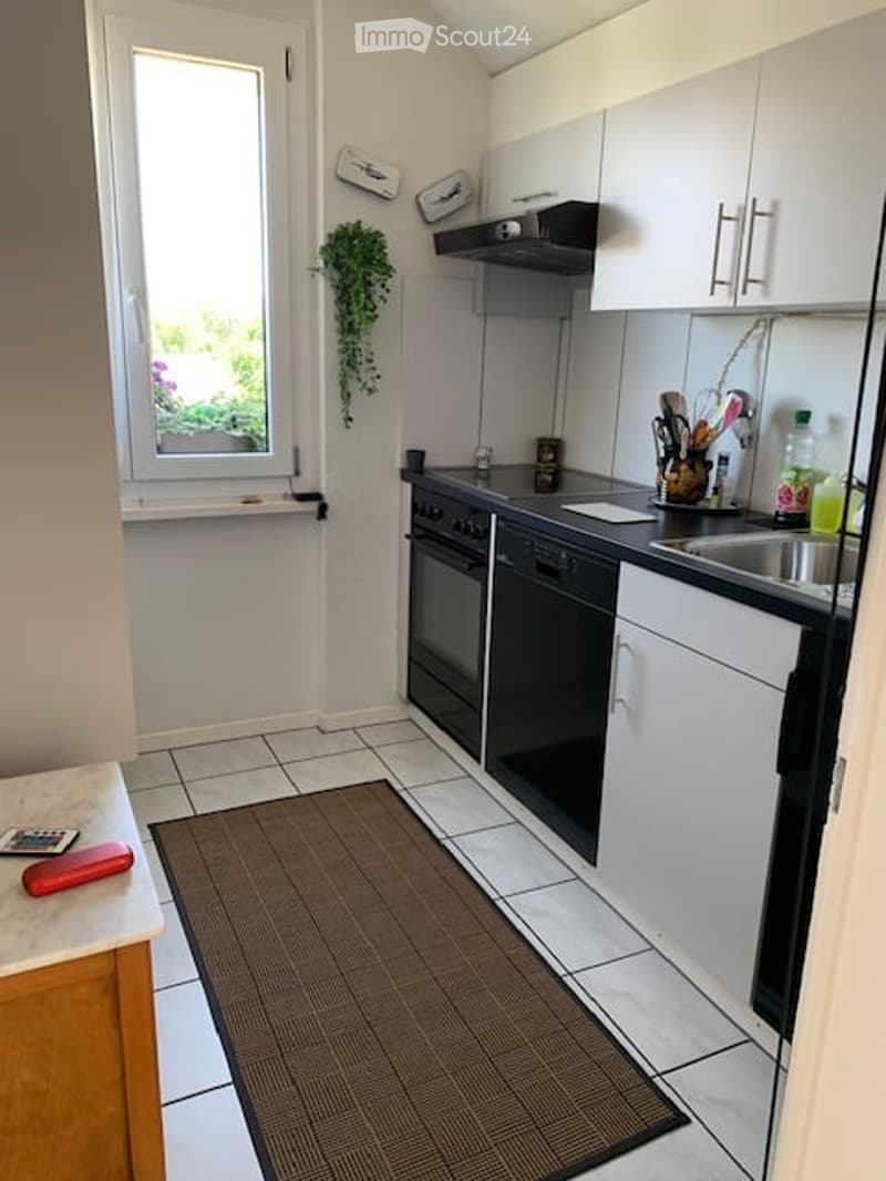 Modern kitchen with white cabinets, black appliances, tiled floor, and a window with a view of greenery. Includes a rug, remote control, and a potted plant on the windowsill.