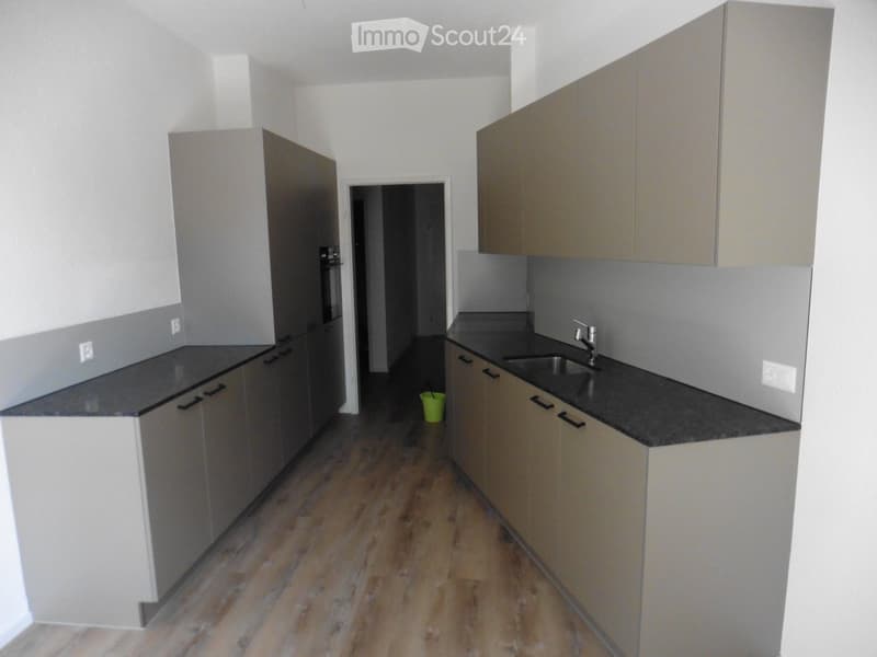 Modern kitchen with light grey cabinets, dark countertops, and wooden flooring. A small green cup is placed on the floor near the doorway.