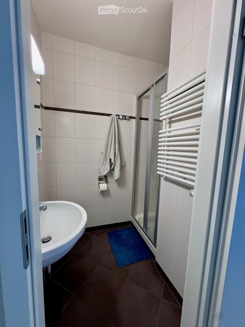 Modern bathroom with a bathtub, glass-enclosed shower, radiator, towel, and bath mat.