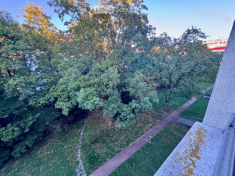 A peaceful garden area with a winding path surrounded by lush green trees and grass, featuring a small bench and a small green object on the path.