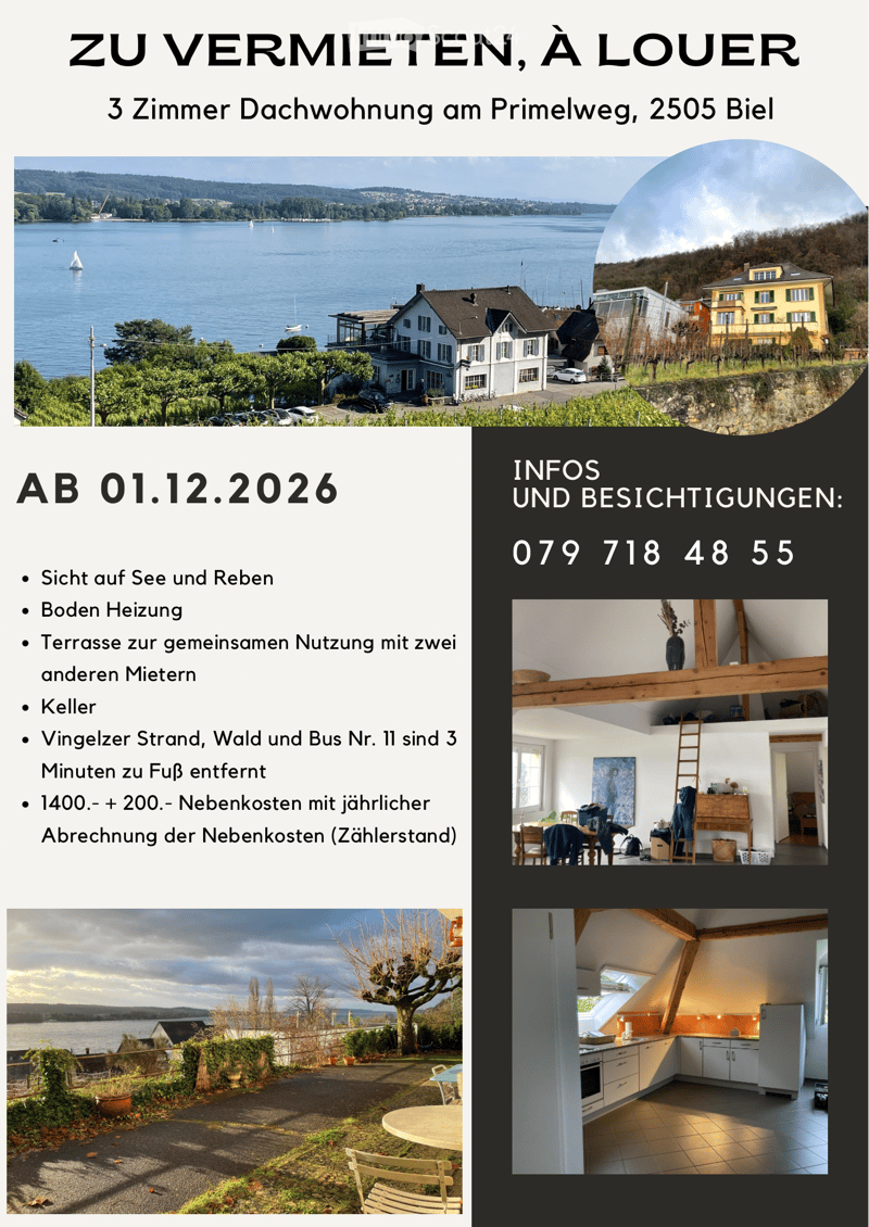 Charmant appartement en attique de 3.5 pièces avec vue sur le lac – Bienne (17)