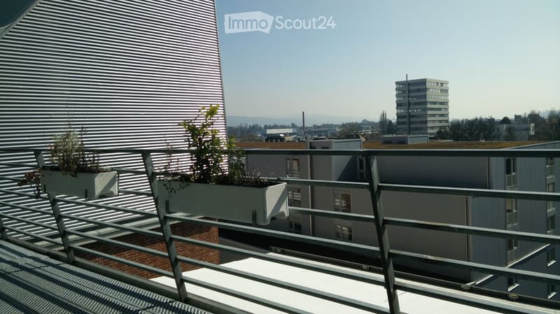 Balcony with metal railing, two planters with greenery, overlooking a cityscape with modern buildings and distant hills.