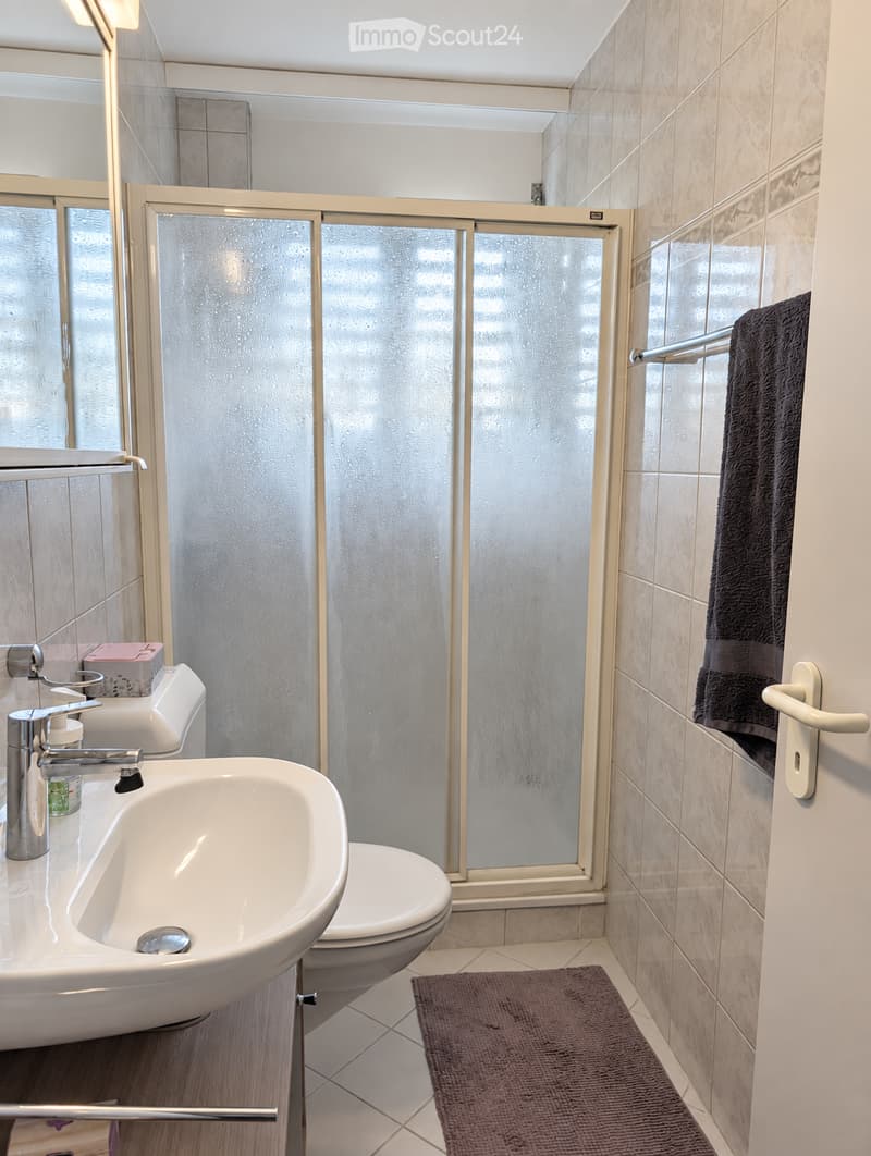 Modern bathroom with a white sink, chrome faucet, toilet, shower stall with frosted glass, and a dark towel on a rack.