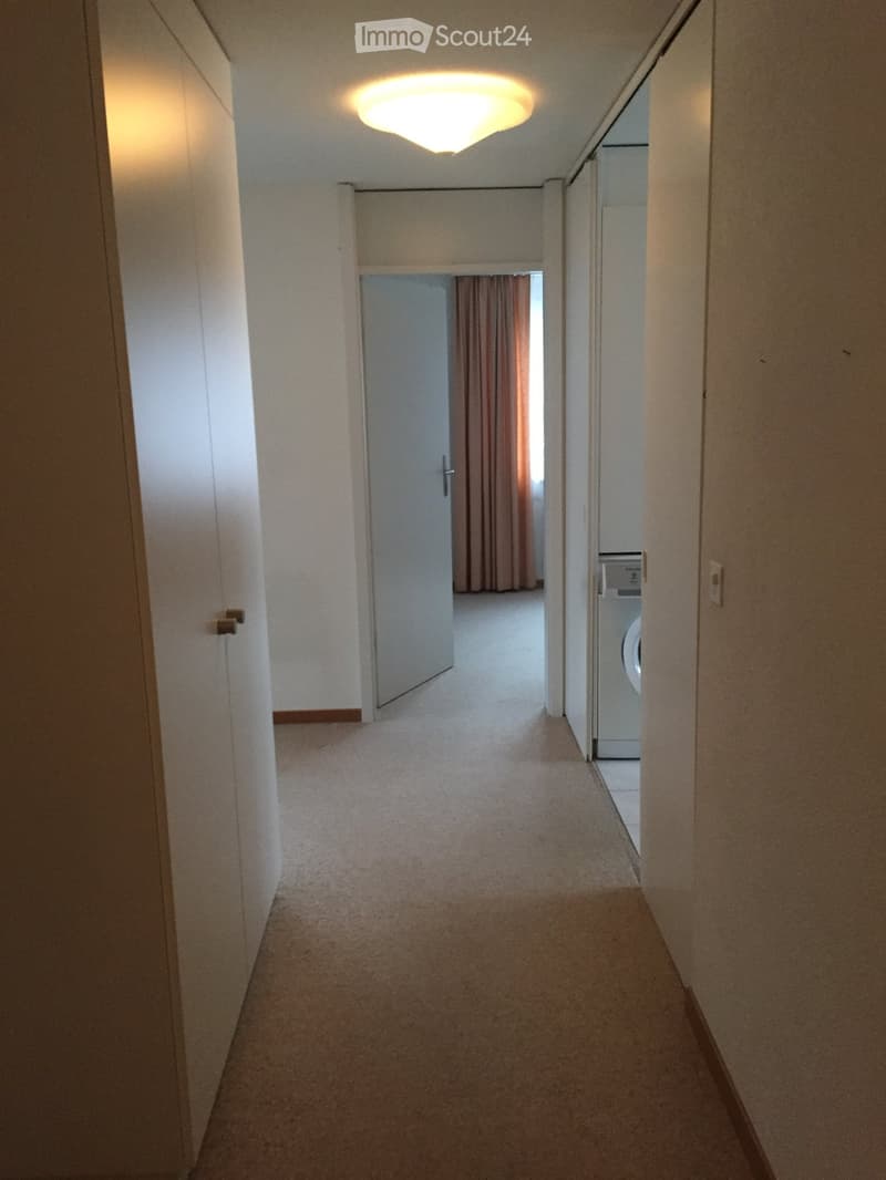 Empty hallway with carpeted floor, white walls, and a ceiling light. A door leads to another room with a curtain, and a washing machine is visible in an adjacent area.
