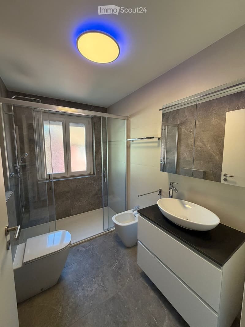Modern bathroom with a large round ceiling light, a glass-enclosed shower, a sink with a modern faucet, a toilet, and a bidet.