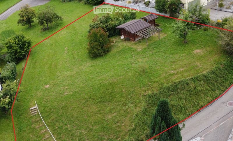 Aerial view of a large, well-maintained lawn with scattered trees and shrubs, featuring a small wooden shed and a wooden bench in the background.