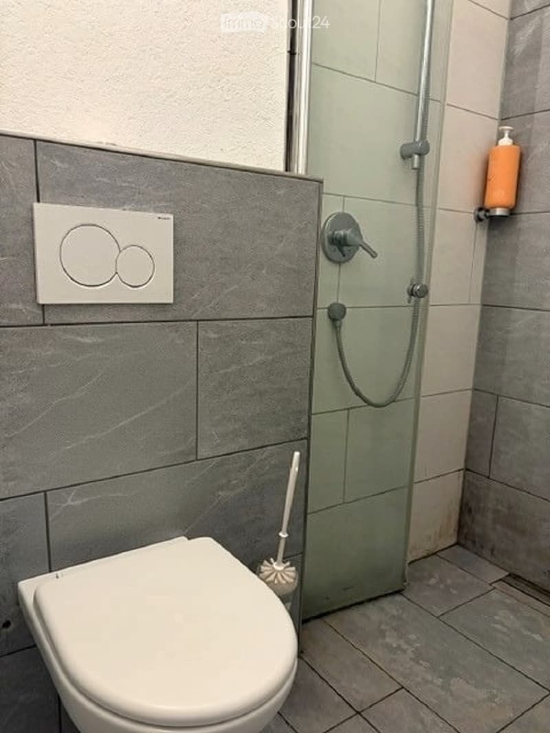 Modern bathroom with grey tiled walls and floor, white toilet, glass-enclosed shower, and a toilet brush holder.