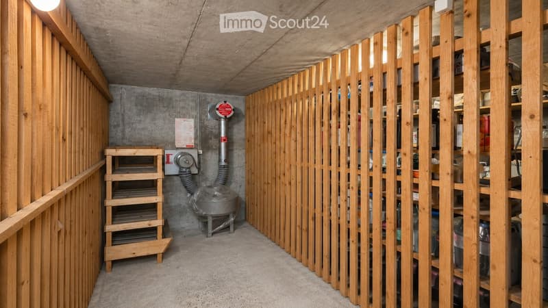 A modern, minimalist storage area with wooden shelves, a wooden ladder, and a wooden partition separating the space.