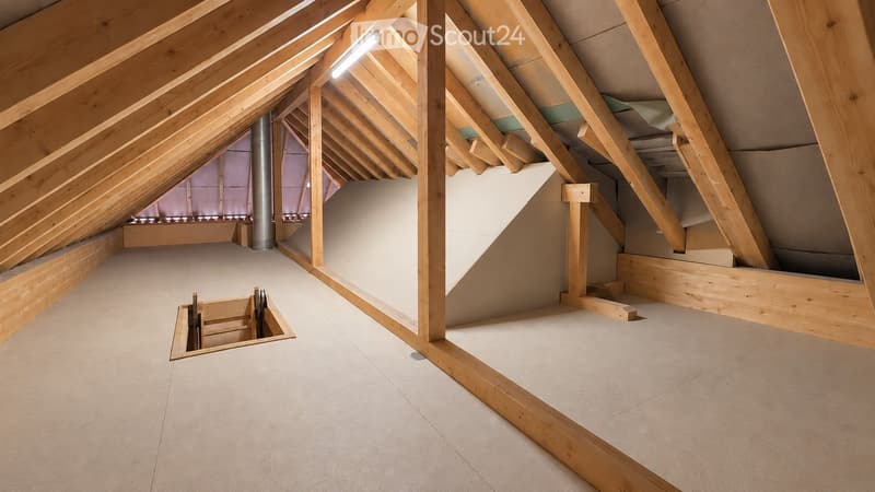 Empty attic space with wooden beams, white walls, and a concrete floor. Features exposed wooden rafters and a skylight allowing natural light to enter.