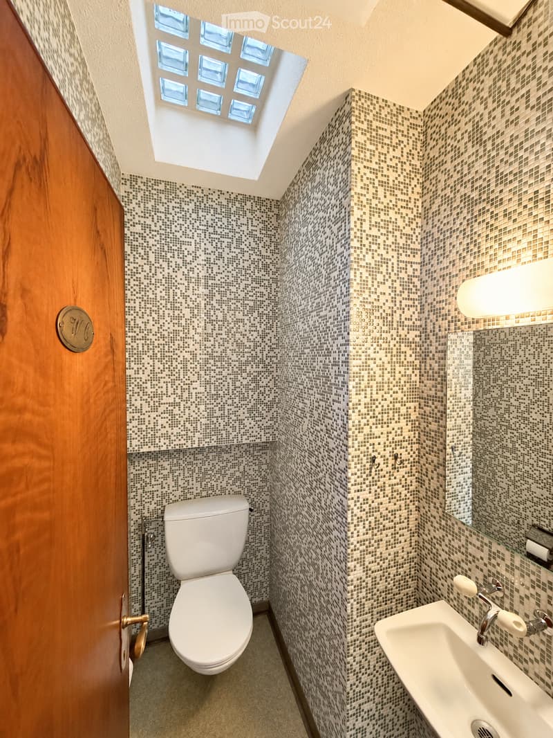 Modern bathroom with mosaic tile walls, a toilet, a sink, and a mirror. The room features a skylight window and a wooden door.