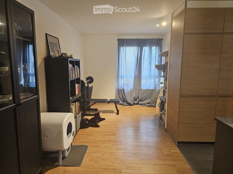 A well-lit room with wooden flooring, featuring a cat litter box, a cat tree, a bookshelf, an exercise bike, and a cat resting on the floor.