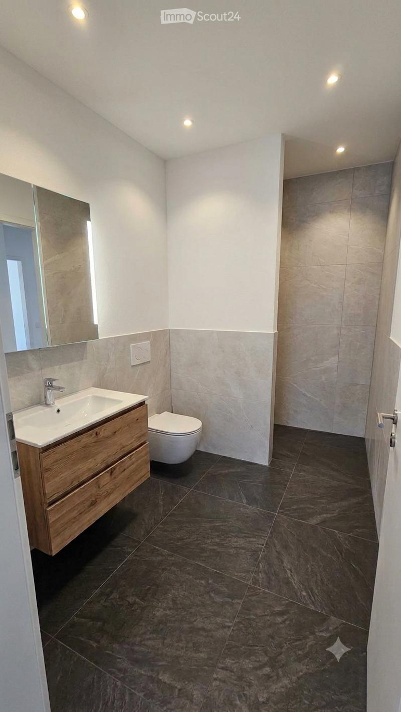 Modern bathroom with dark marble tiles, a wooden sink cabinet, a toilet, and a large mirror.