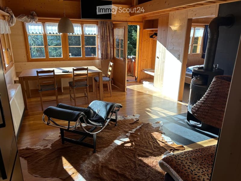 wooden walls, wooden floor, dining table, dining chairs, TV, armchair, rug, cowhide, fireplace
