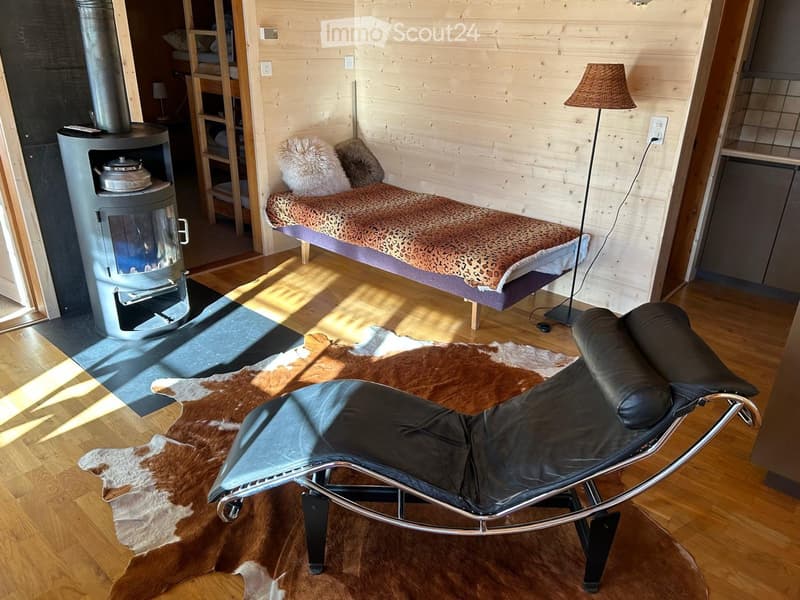 wooden wall, wood floor, fireplace, bed, lounge chair, lamp, animal print rug