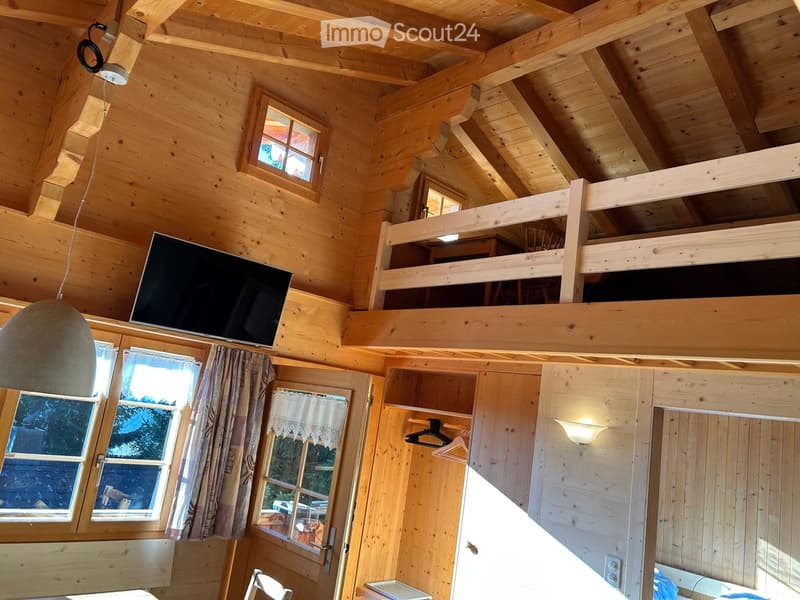wooden interior, double windows, tv, loft, balcony, wooden ceiling, wooden flooring