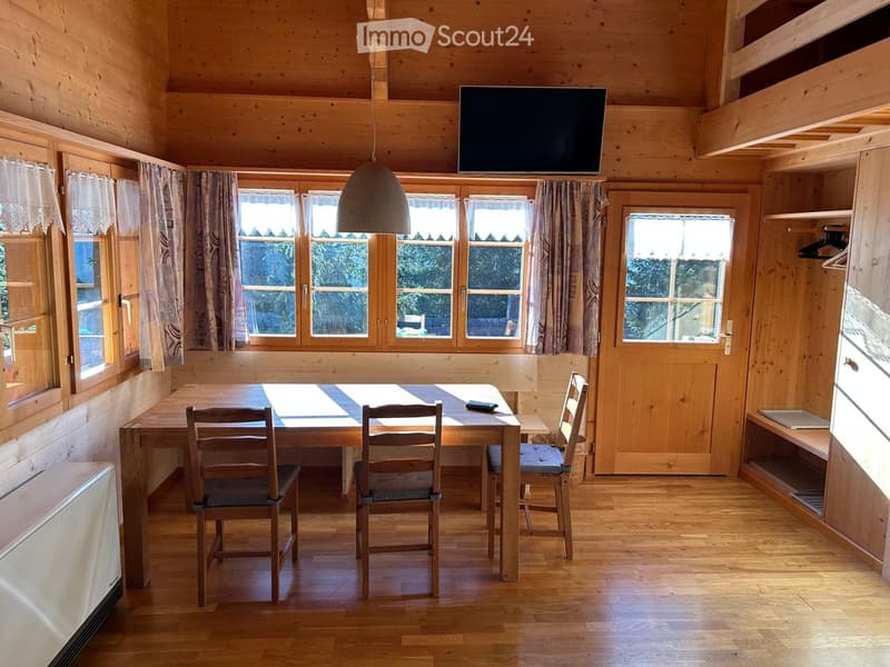 Wooden interior, dining table, chairs, curtains, TV, wooden cabinets, radiator, wooden floor