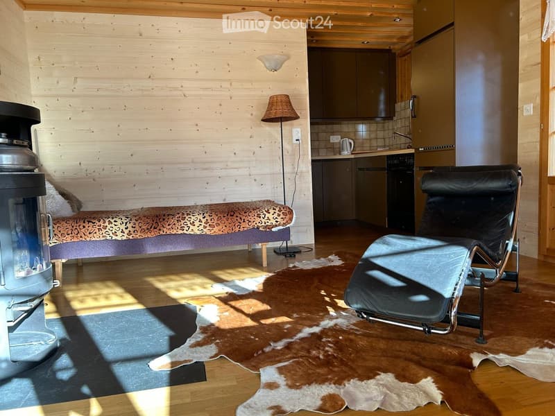 Fireplace, wooden wall, leather chair, leopard print bench, floor lamp, rug