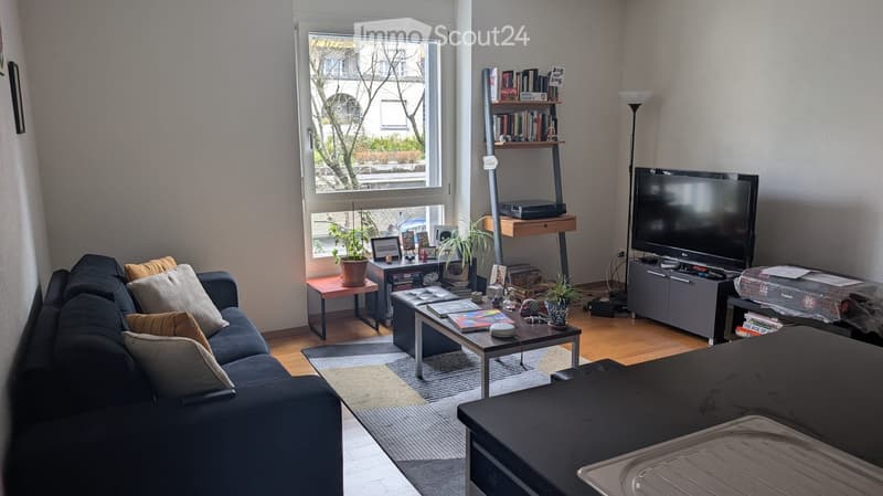 Modern living room with a dark blue sofa, coffee table, bookshelf, television, side table, and plants. The room features large windows with a view of the street and a wooden floor.
