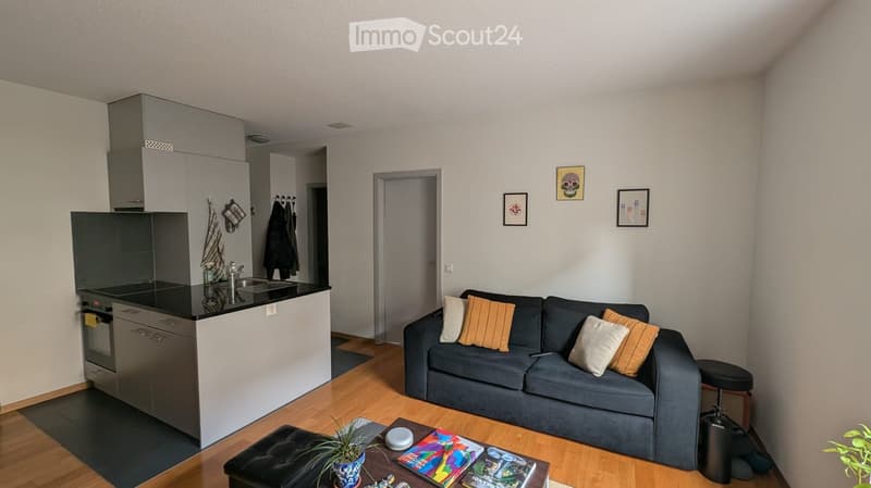 Modern open-plan living and kitchen area with a grey sofa, coffee table, kitchen island, and various decorative items.
