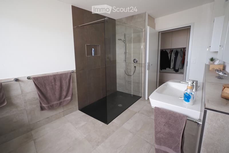 Modern bathroom with a glass-enclosed shower, a white sink with a modern faucet, and a towel rack with a brown towel. The shower has a sleek design with a glass door and a modern showerhead.