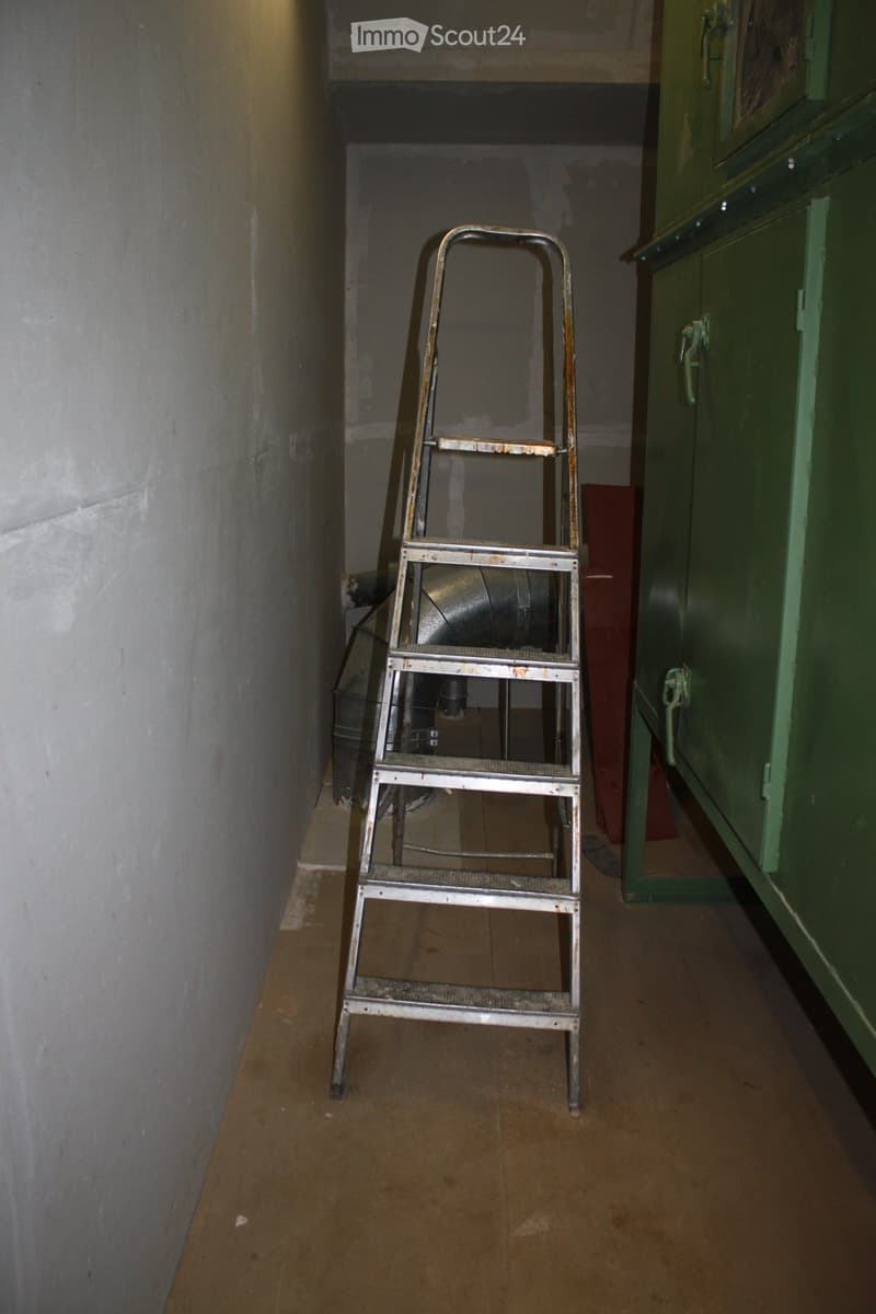 A narrow hallway with wooden flooring, a metal ladder, and a green cabinet on the right side.