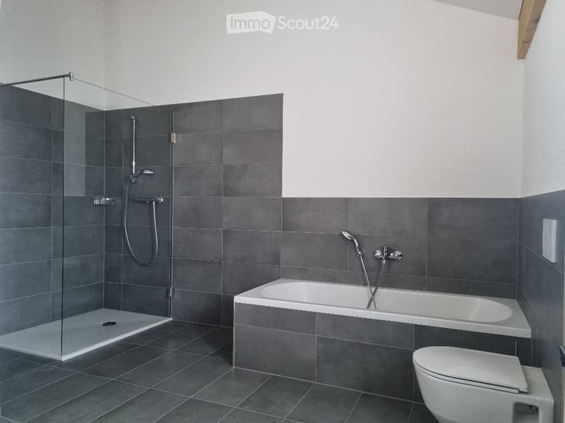 Modern bathroom with dark grey tiles, a bathtub, toilet, and a glass-enclosed shower area.